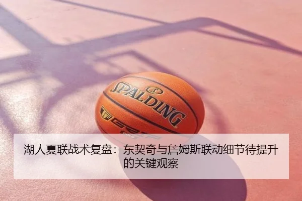 湖人夏联战术复盘：东契奇与詹姆斯联动细节待提升的关键观察
